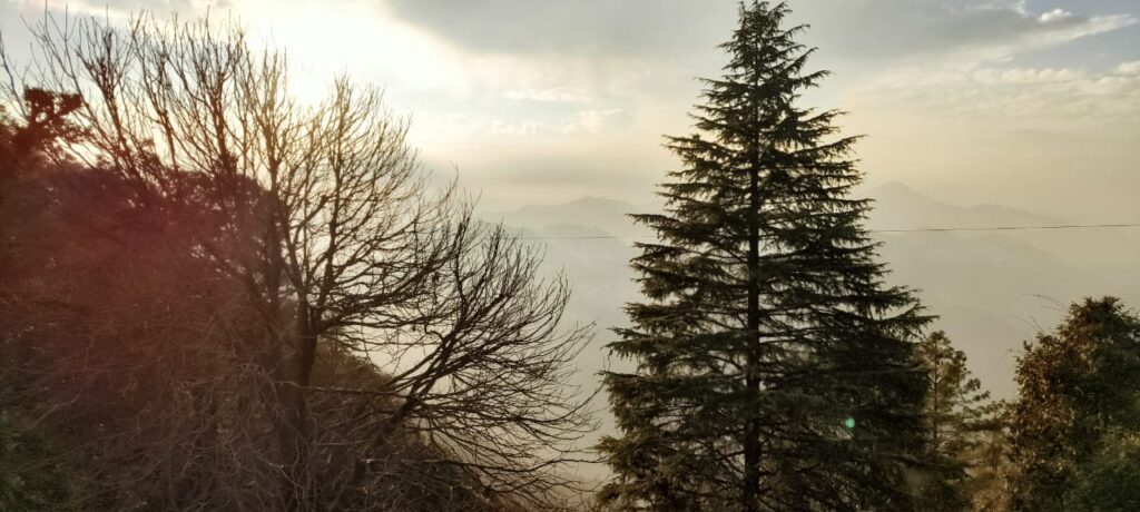 Mountain View from Lal Tibba Cafe