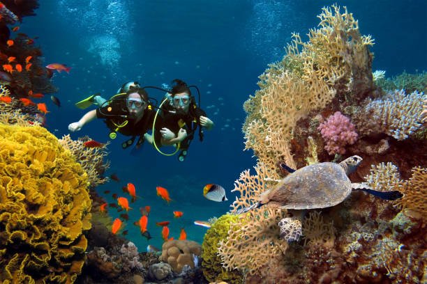 Couple Scuba Diving
