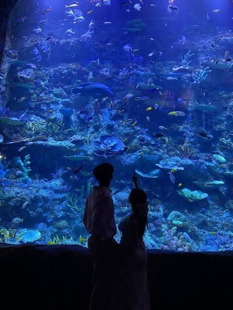 Couple in Aquarium